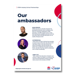 SISP Brochure Design